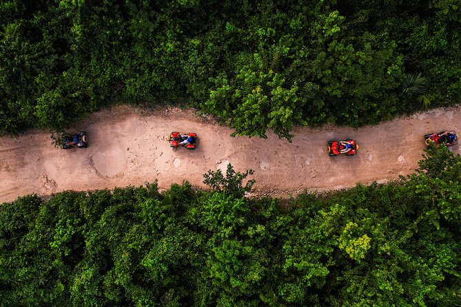 From Playa del Carmen ATV Adventure with Ziplines, Cenote - A simple jungle sampler, not an extreme sports marathon