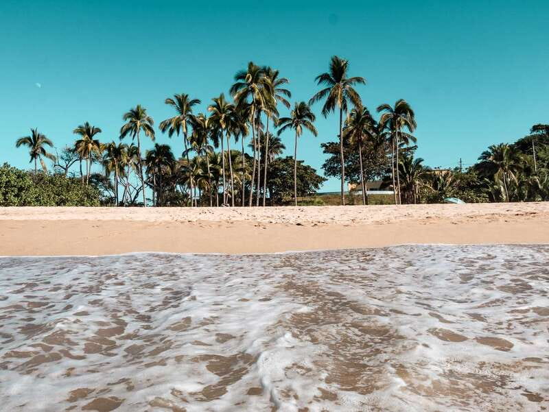 From Puerto Vallarta: San Pancho and Sayulita - Key points to know before booking