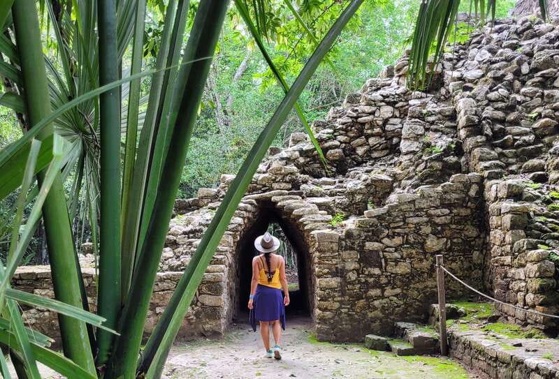 From Riviera Maya: Coba, Punta Laguna & Cenote Guided Trip - Punta Laguna: watching the treetops for monkeys