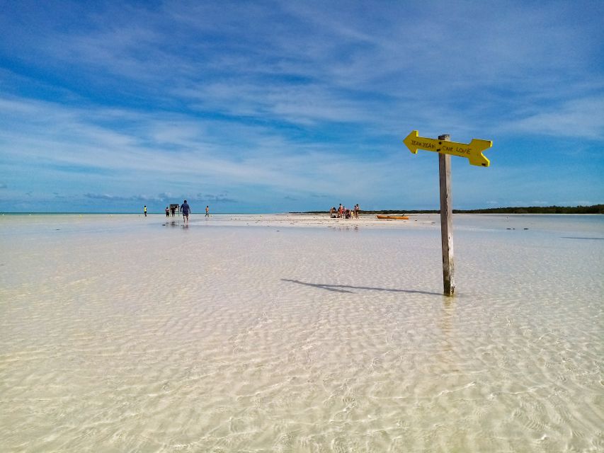 From Riviera Maya: Holbox Full-Day Tour with Lunch - Yalahau Cenote, a freshwater pause among nature