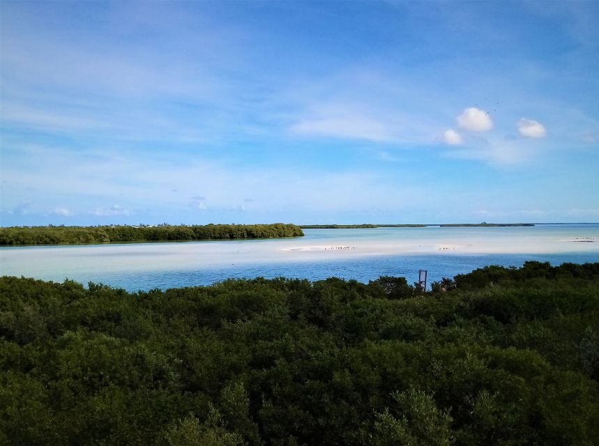 From Riviera Maya: Holbox Full-Day Tour with Lunch - Punta Mosquito and the sandbars