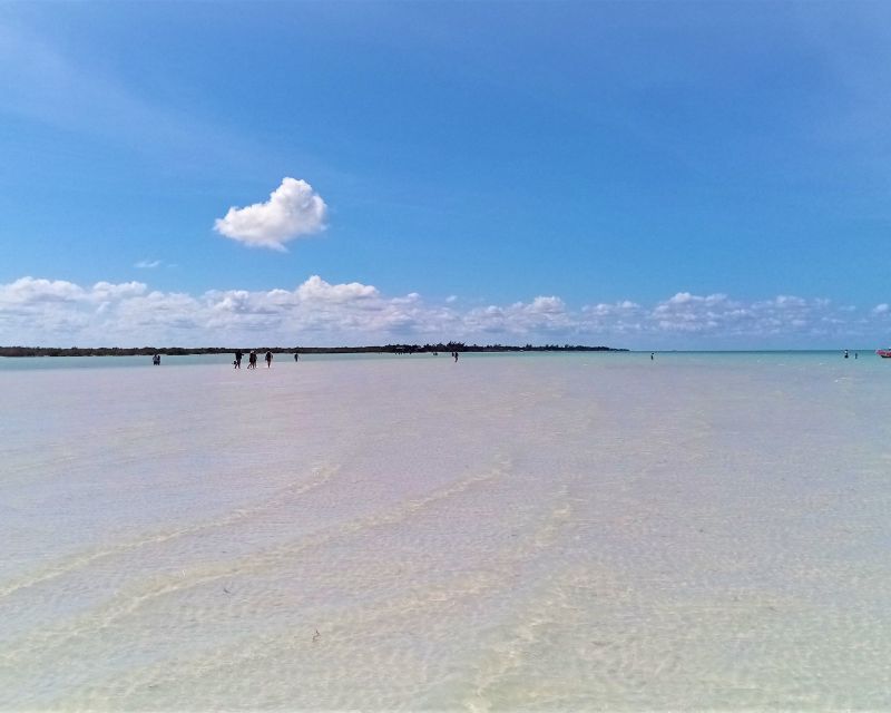 From Riviera Maya: Holbox Full-Day Tour with Lunch - Two hours to wander Isla Holbox