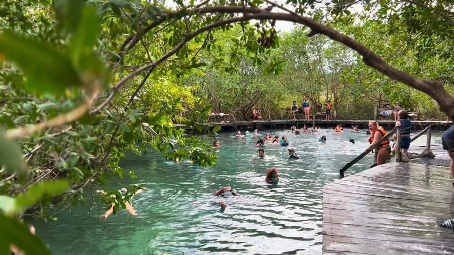 From Riviera Maya: Holbox Full-Day Tour with Lunch - Who should book this Holbox day trip