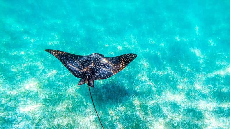 From Riviera Maya: Sian Ka'an Half Day Tour w/ Lunch - What the $204 price really covers