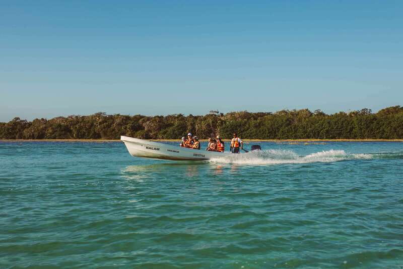 From Riviera Maya: Sian Ka'an Half Day Tour w/ Lunch - Boca Paila lagoon and the search for wildlife