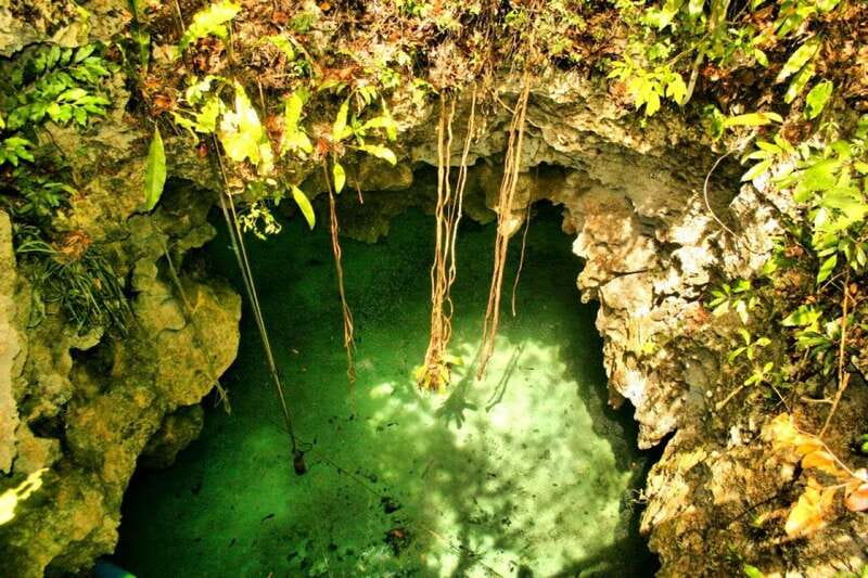 From Riviera Maya: Snorkeling & Private Cenote Half-Day Tour - Key points at a glance
