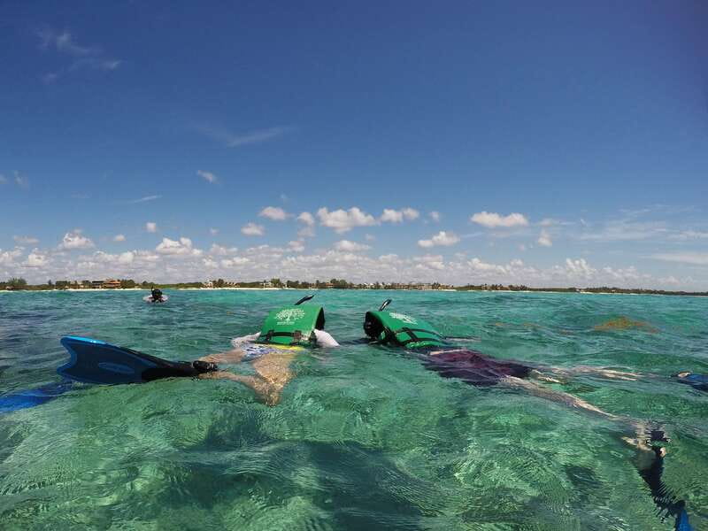 From Riviera Maya: Snorkeling & Private Cenote Half-Day Tour - Should you book it?