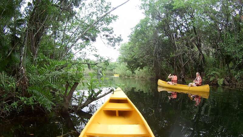 From Tulum: Four-Cenote Adventure - The Mayan meal is more than a quick lunch