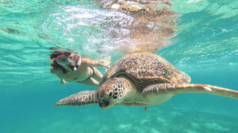From Tulum: Tulum, Cenote and Turtle Swim Tour at Akumal - Three Riviera Maya highlights in one long day