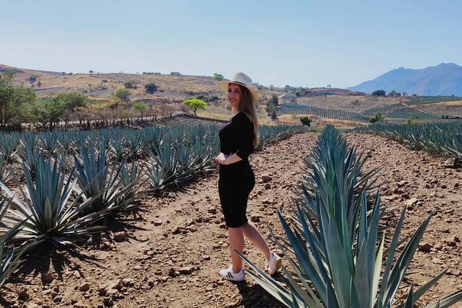 Full Day in Tequila with Tasting and party in Cantaritos - Who will enjoy this tequila tour most