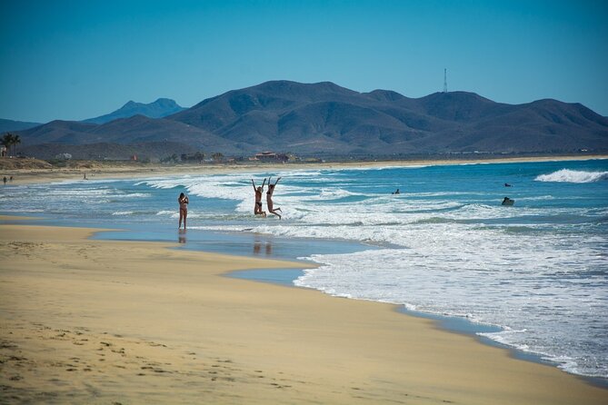 Full-Day La Paz Private Tour from Los Cabos - Guides, food advice, and service quality