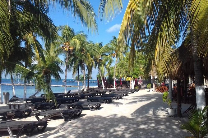 Full-Day Luxurious Catamaran Adventure - Cancún to Isla Mujeres - The spinnaker ride and sunset return