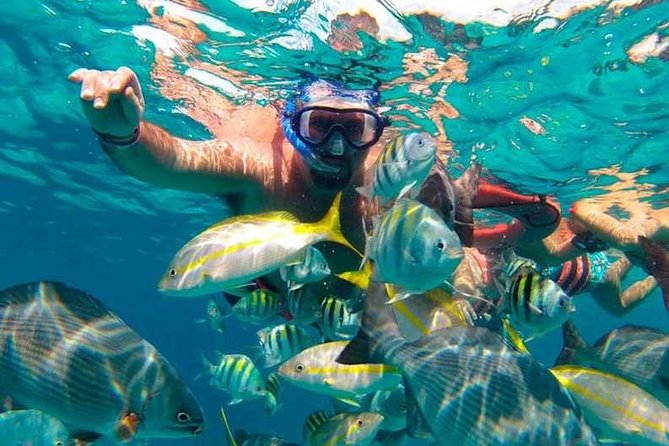 Full-Day Luxurious Catamaran Adventure - Cancún to Isla Mujeres - Who will enjoy this trip most