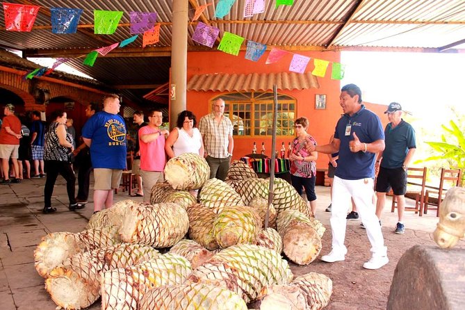 Full-Day Puerto Vallarta City Highlights Tour - Guides, vans, and communication