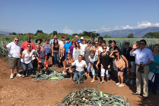 Full-Day Tequila Tour from Guadalajara - Why the return journey matters