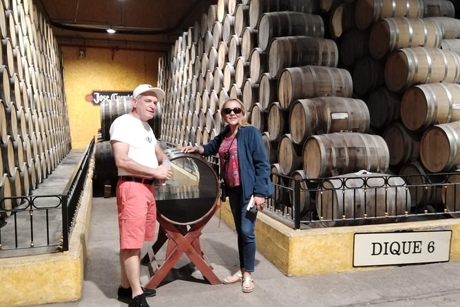 Full-Day Tequila Tour from Guadalajara - Who should book this Tequila day trip