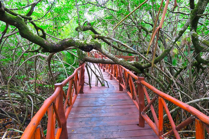 Full-Day Tour of Tulum Ruins and Cenotes with Lunch - Transport, pickup, and the real length of the day