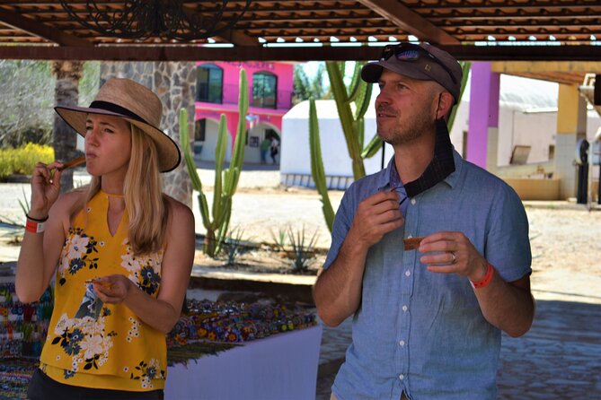 Full Day Tour to Tequila and Amatitán with Fun and Culture - Tequila town and the problem of limited time