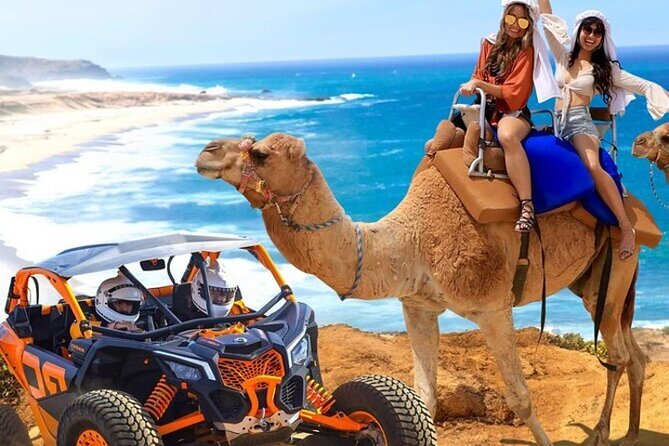 Fun Camel Ride and UTV COMBO with Tequila Tasting! - Key points at a glance