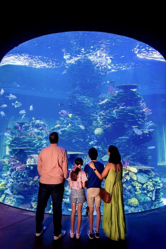 Gran Acuario Mazatlan - Key things to know