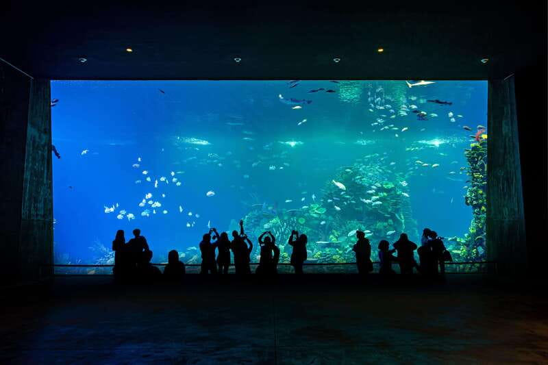 Gran Acuario Mazatlan - The crash tank and Coral City