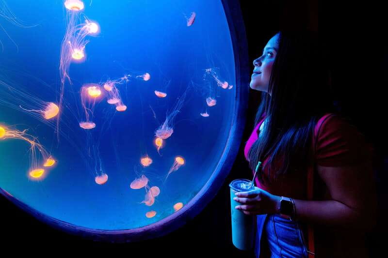 Gran Acuario Mazatlan - Gardens that feel separate from the aquarium