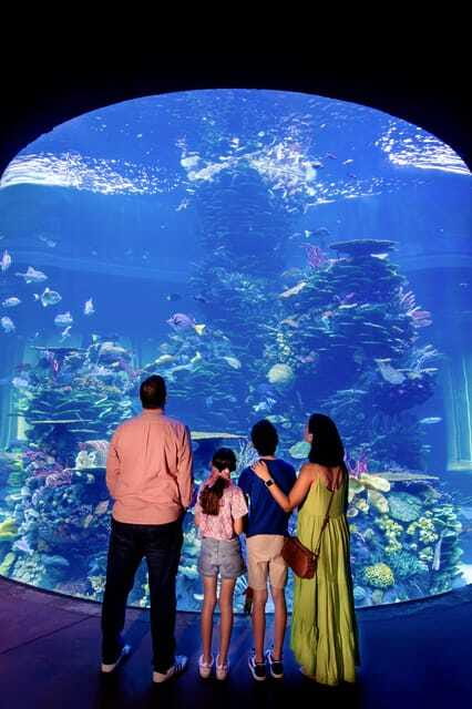 Gran Acuario Mazatlan - What the $30 admission buys you