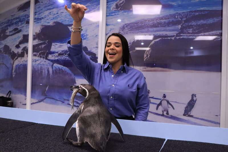 Gran Acuario Mazatlan - From desert reptiles to the intertidal touch area