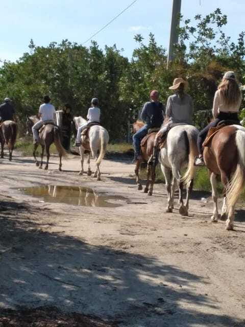 Group horseback ride on Holbox Island, Quintana Roo - Should You Book Los Potrillos Holbox Horseback Riding?