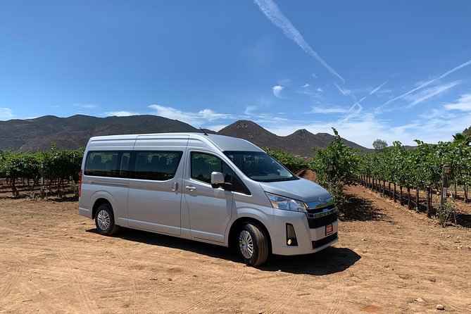 Group tour - Viña de Frannes: a quieter vineyard stop