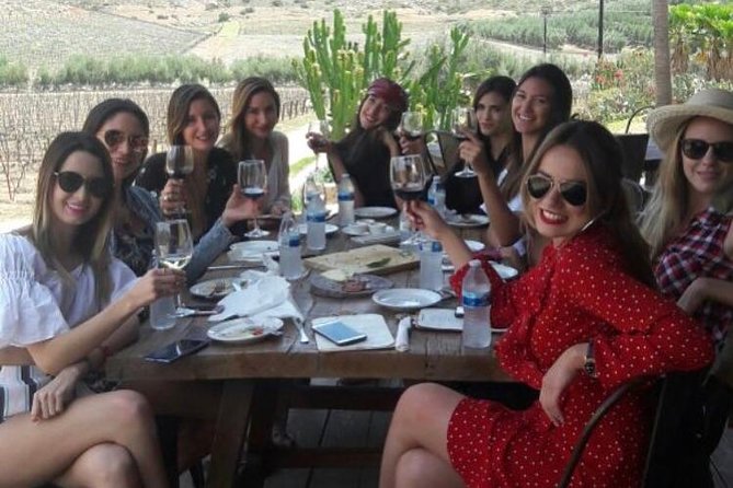 Group tour - Finca La Carrodilla: wine, views, and a small farm
