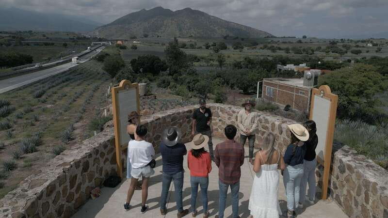 Guadalajara: Premium Tequila Tour with Tastings and Pairings - Tequila Selecto: from traditional methods to modern production