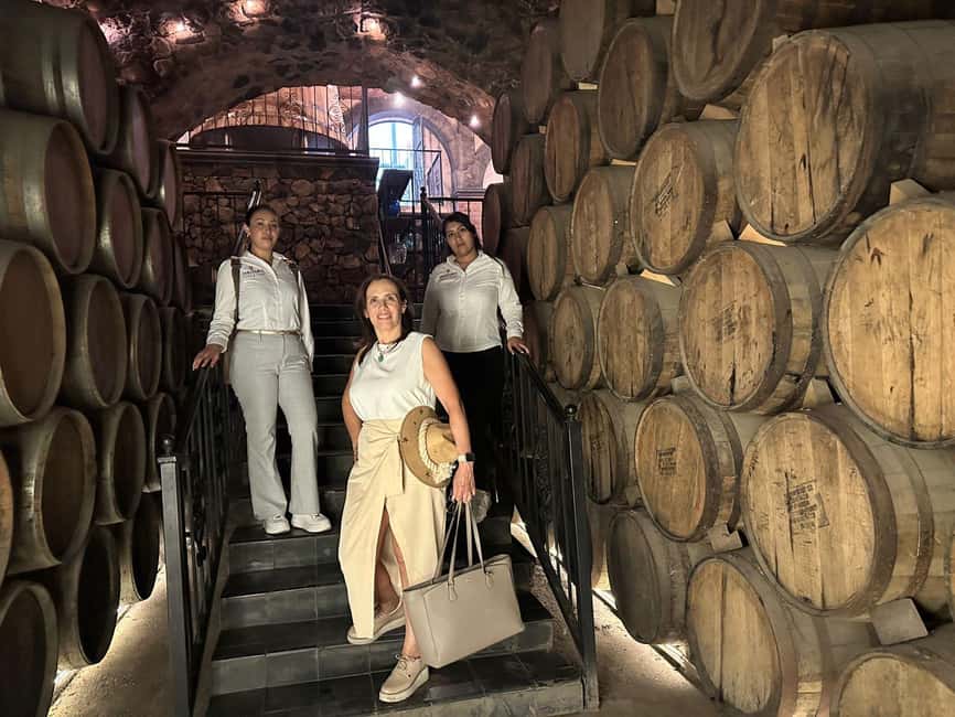 Guadalajara: Tequila Day Trip with Jose Cuervo Option - Who will enjoy this day trip most