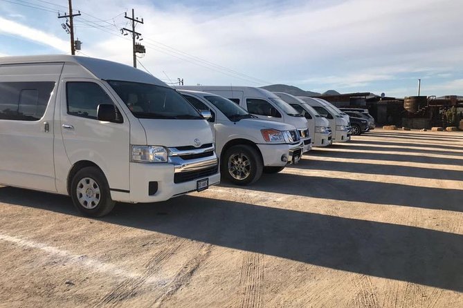 Guadalupe Valley Private Driver Tour - Horseback riding costs extra but changes the day
