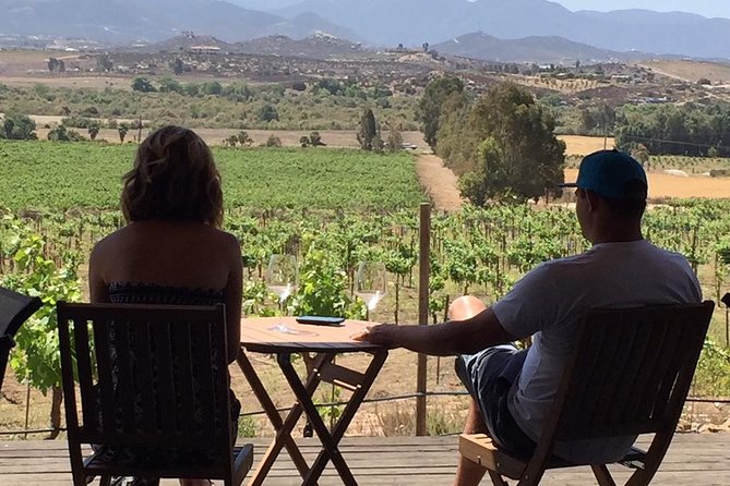 Guadalupe Valley Wine Route Tour in Baja California - What the wine tastings actually cost