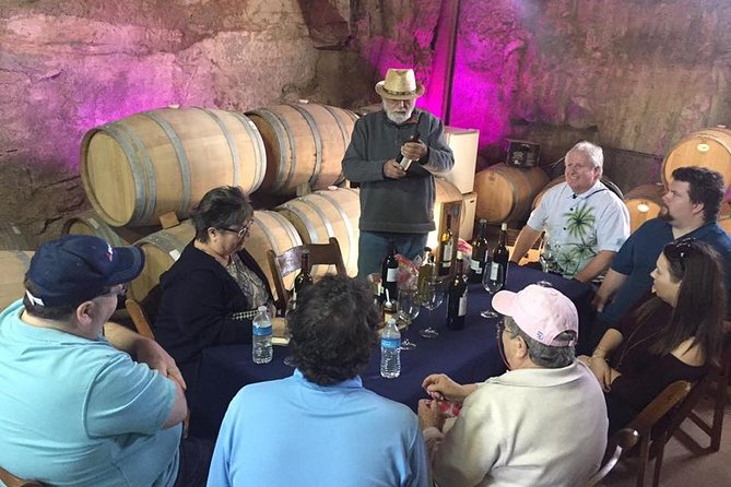 Guadalupe Valley Wine Route Tour in Baja California - Food, snacks, and pacing