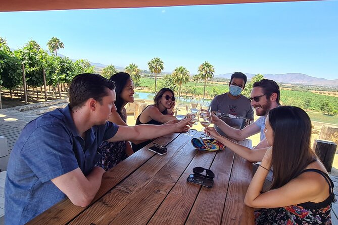 Guadalupe Wine Valley Tour - Why this private Baja day works