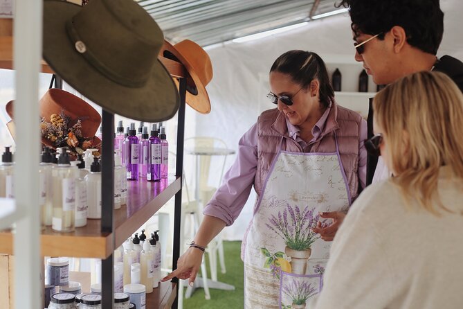 Guided Lavender Experience: Cultivation, Uses and Tasting - The guide and the private-group feel