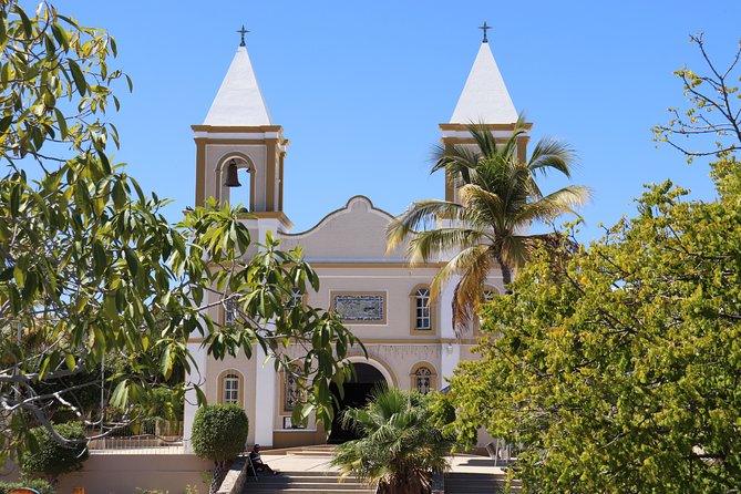 Guided Tour Los Cabos: Boat | Tacos & Tequila | Photos & Transfer - San José del Cabo and the Art District