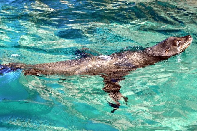 Guided Tour Los Cabos: Boat | Tacos & Tequila | Photos & Transfer - What the Price Really Buys You