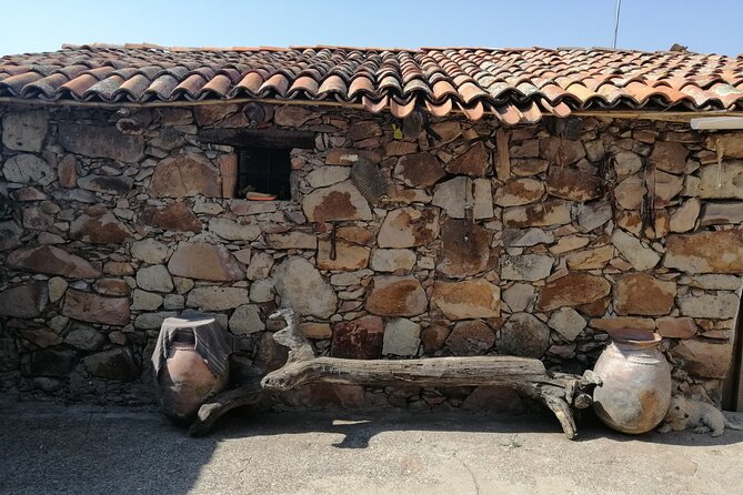 Half Day Excursion - Horseback Riding Adventure in SMA - Photos, rest stops, and the human touch