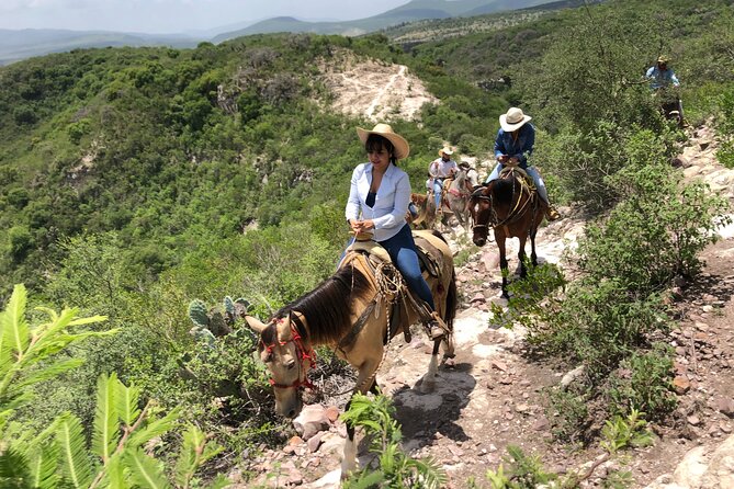 Half Day Excursion - Horseback Riding Adventure in SMA - A family ranch with a living tradition