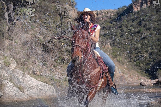 Half-Day Horseback Riding Adventure - The river trail starts with a splash