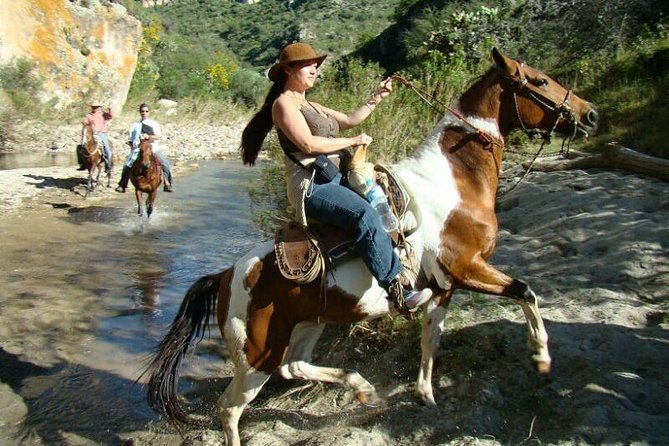 Half-Day Horseback Riding Adventure - Plains, cattle, and the long way back