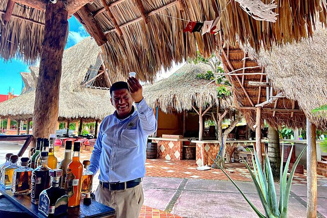 Half-Day Island Tour with Mayan Experience & Beach Break - Downtown Cozumel and the island’s story