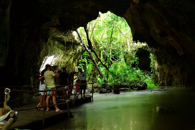 Half-Day Sea Turtle and Cenote Snorkeling Tour from Cancun & Riviera Maya - Akumal Beach and the search for sea turtles