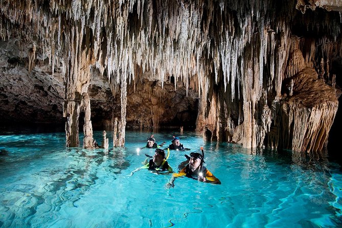 Half-Day Sea Turtle and Cenote Snorkeling Tour from Cancun & Riviera Maya - What to wear and bring for a smoother outing