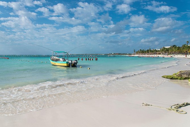 Half-Day Sea Turtle and Cenote Snorkeling Tour from Cancun & Riviera Maya - Guides make the difference