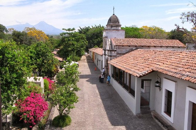 Half-Day Tour to Tequila Factory and Villages from Mazatlan - Los Osuna: old tools, blue agave, and the first tasting