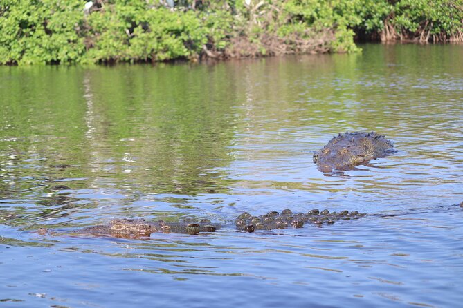 Half-Day Tour to Ventanilla, Mazunte, Zipolite and Puerto Angel - Puerto Ángel for swimming and lunch